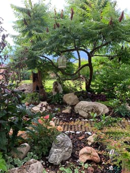 Sustainable Landscaping Solutions's image